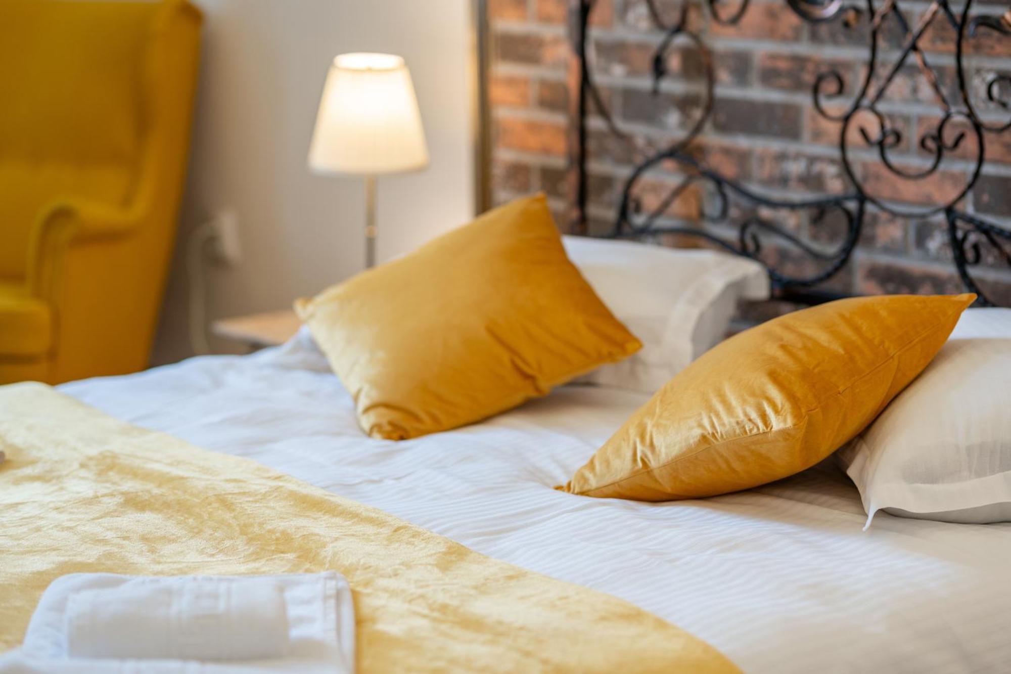 Cozy Spacious 5 Star Accommodation In The Heart Of Historic Center Cluj-Napoca Esterno foto